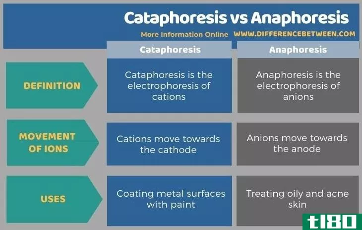 内吞(cataphoresis)和回植(anaphoresis)的区别