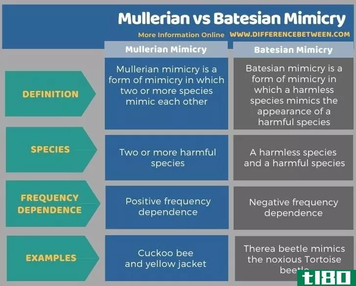 苗勒管(mullerian)和贝茨式模仿(batesian mimicry)的区别