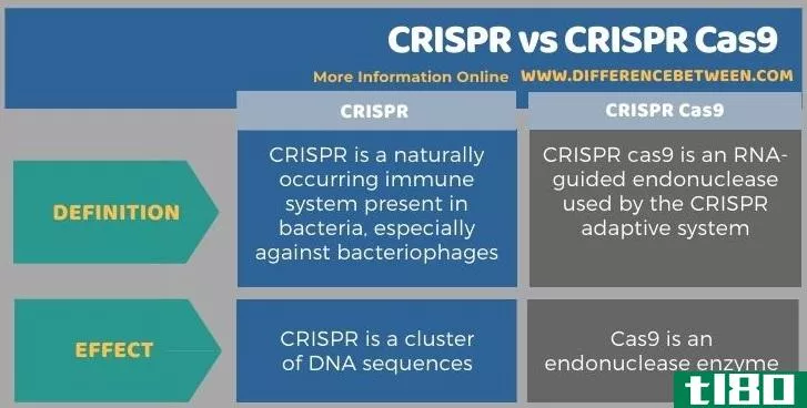 清脆的(crispr)和crispr cas9(crispr cas9)的区别