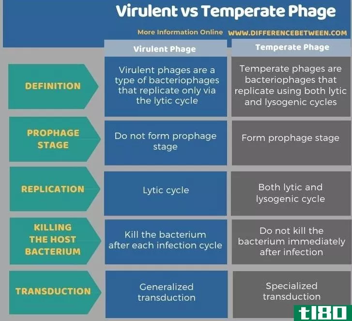 有毒的(virulent)和温和噬菌体(temperate phage)的区别