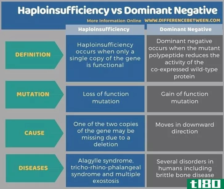 偶然性(haploinsufficiency)和显性负(dominant negative)的区别