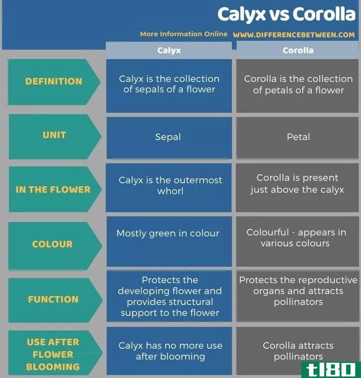花萼(calyx)和花冠(corolla)的区别
