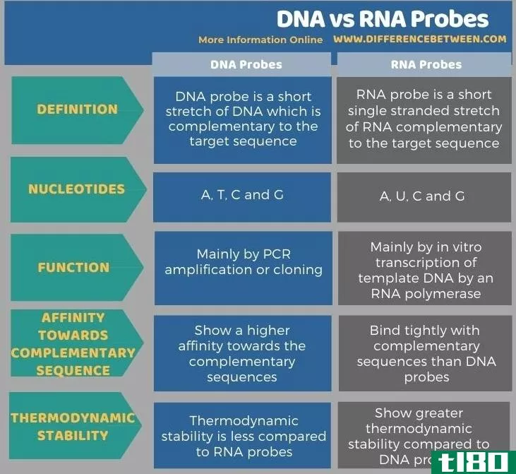 dna(dna)和rna探针(rna probes)的区别