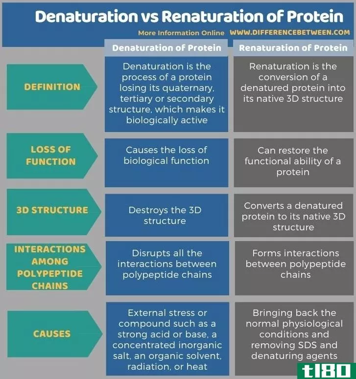 变性(denaturation)和蛋白质复性(renaturation of protein)的区别