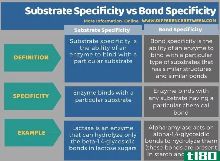 底物特**(substrate specificity)和键特**(bond specificity)的区别