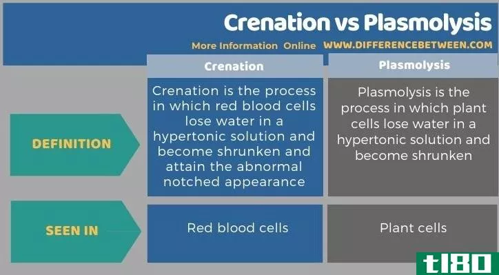 克瑞恩(crenation)和质膜分离(pla**olysis)的区别
