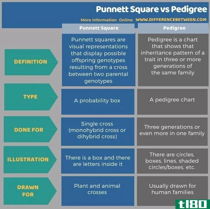蓬奈特广场(punnett square)和纯种(pedigree)的区别