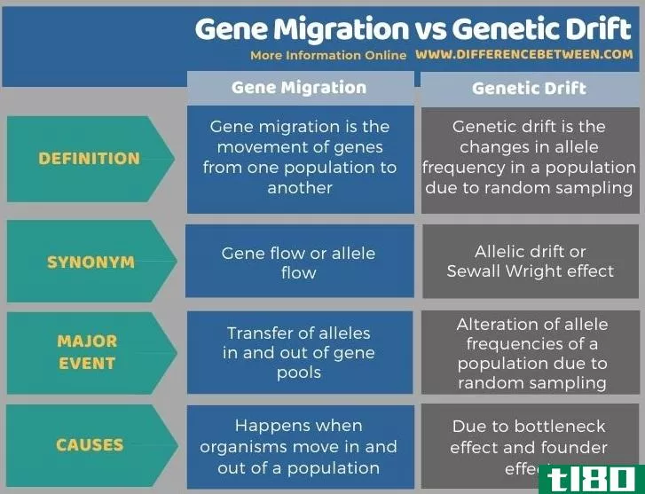 基因迁移(gene migration)和遗传漂变(genetic drift)的区别