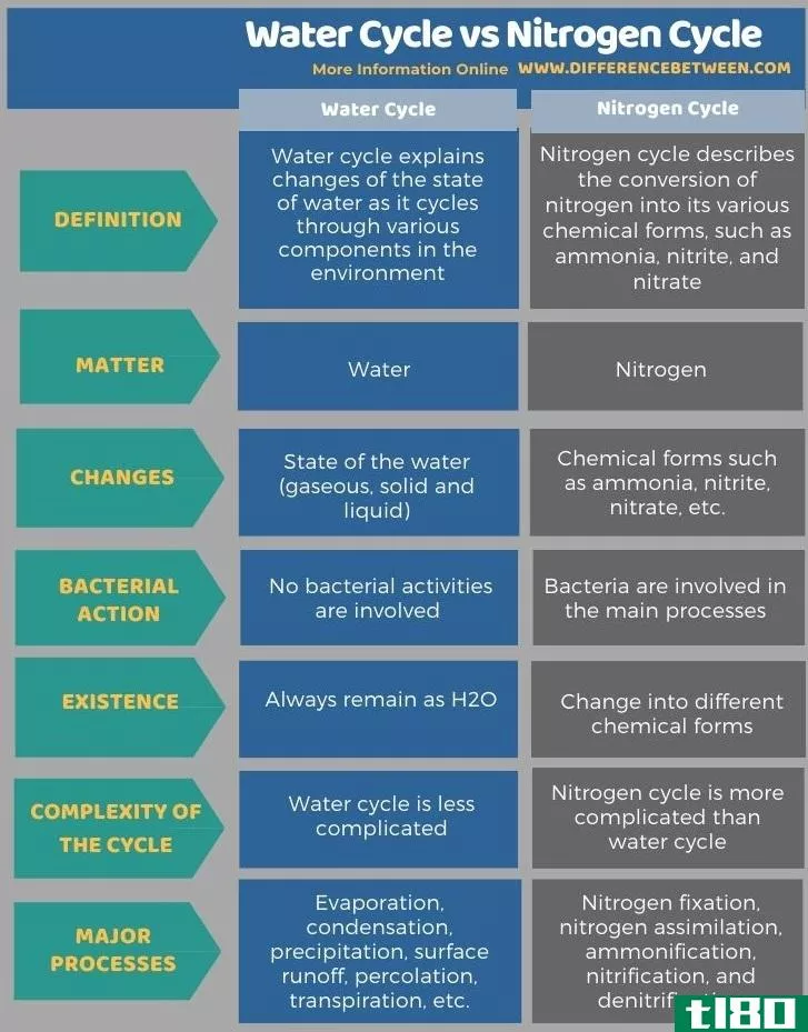 水循环(water cycle)和氮气循环(nitrogen cycle)的区别