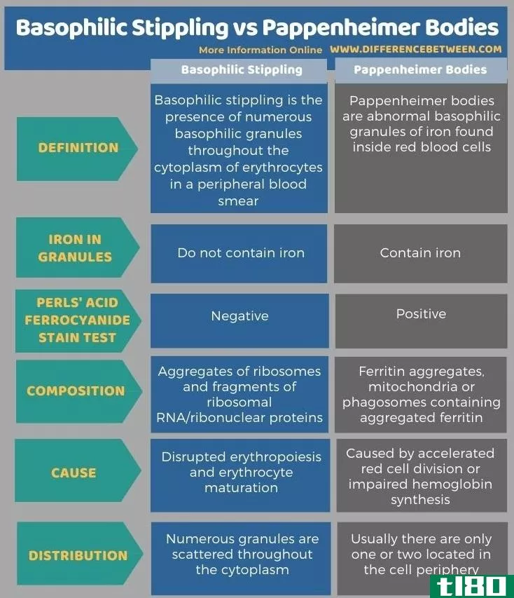 嗜碱性点彩(basophilic stippling)和帕彭海默尸体(pappenheimer bodies)的区别
