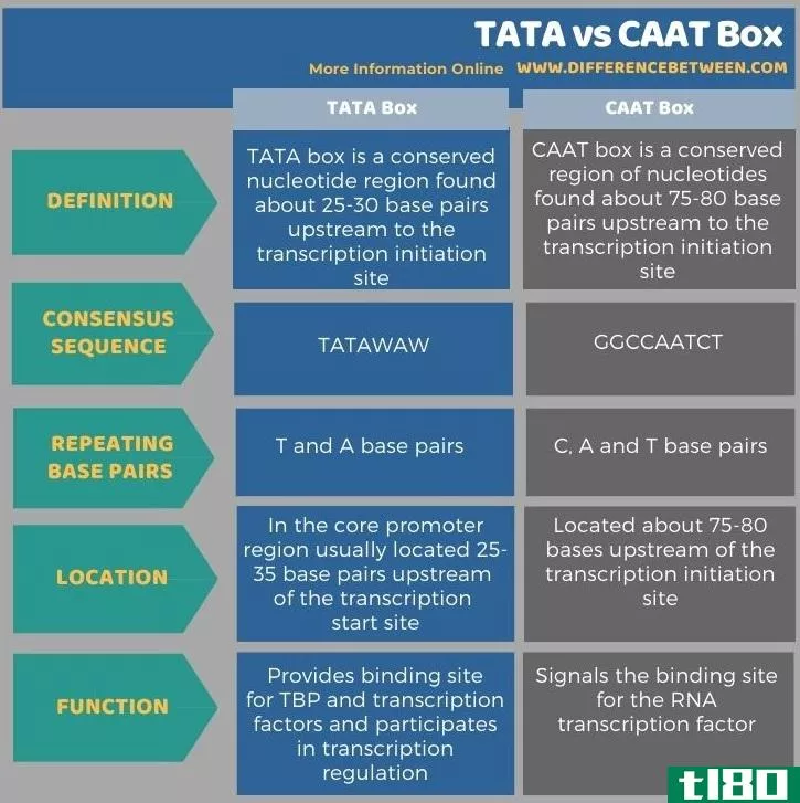塔塔(tata)和caat箱(caat box)的区别