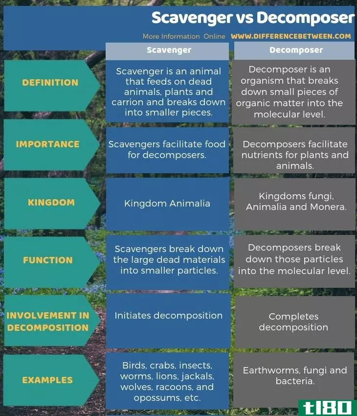 食腐动物(scavenger)和分解者(decomposer)的区别