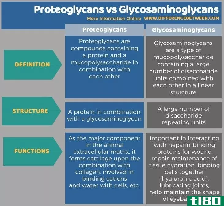 蛋白多糖(proteoglycans)和糖胺聚糖(glycosaminoglycans)的区别