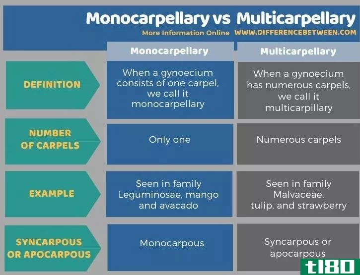 单腕骨(monocarpellary)和多腕骨(multicarpellary)的区别