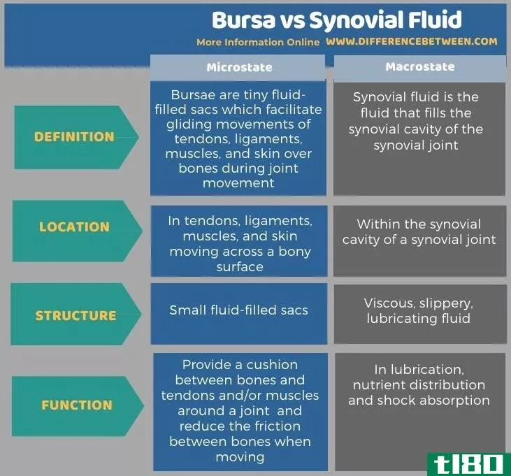 囊(bursa)和滑液(synovial fluid)的区别