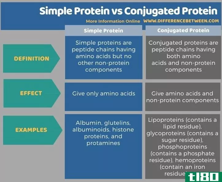 简单蛋白质(simple protein)和结合蛋白(conjugated protein)的区别