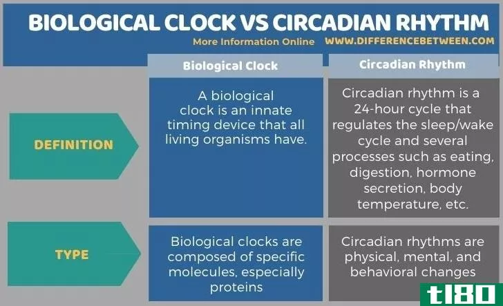 生物钟(biological clock)和昼夜节律(circadian rhythm)的区别