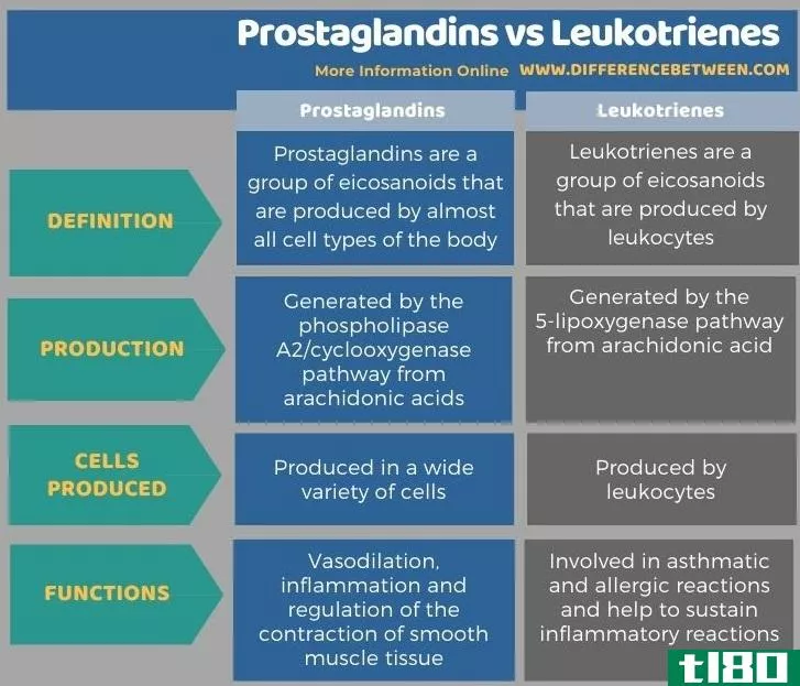 ****(prostaglandins)和白三烯(leukotrienes)的区别