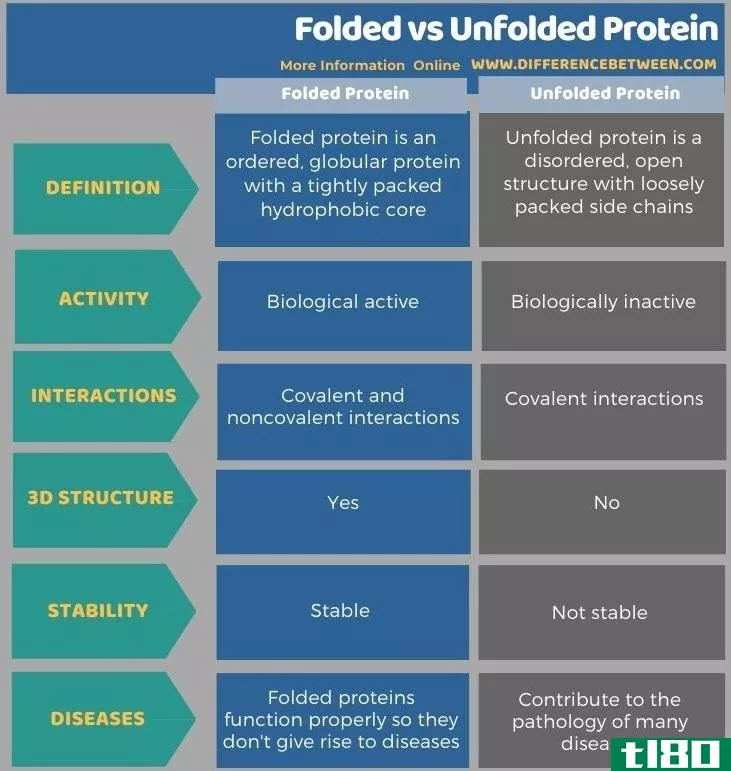 折叠(folded)和未折叠蛋白质(unfolded protein)的区别