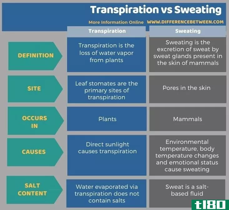 蒸腾作用(transpiration)和出汗(sweating)的区别