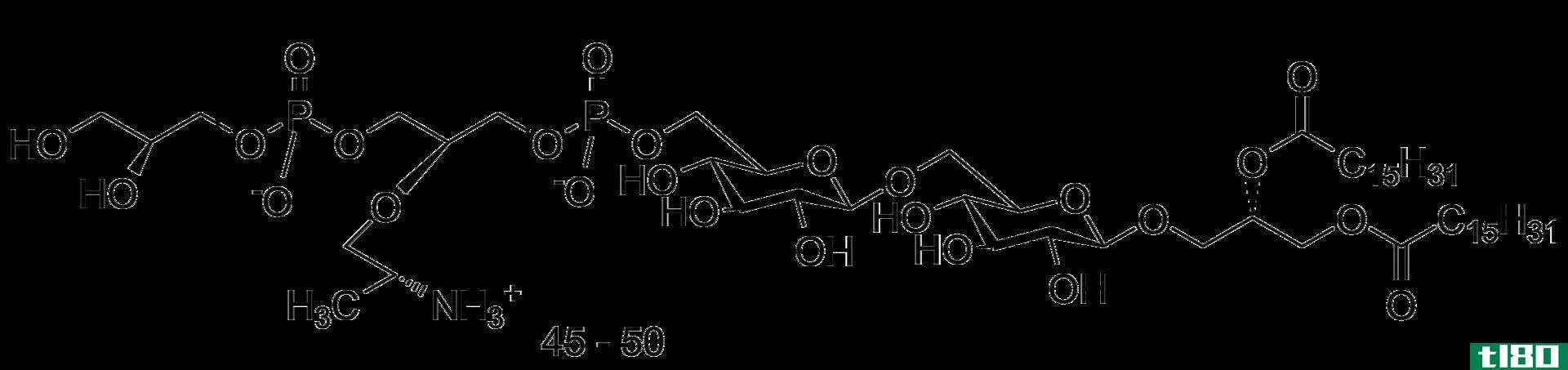 磷壁酸(wall teichoic acid)和脂磷壁酸(lipoteichoic acid)的区别