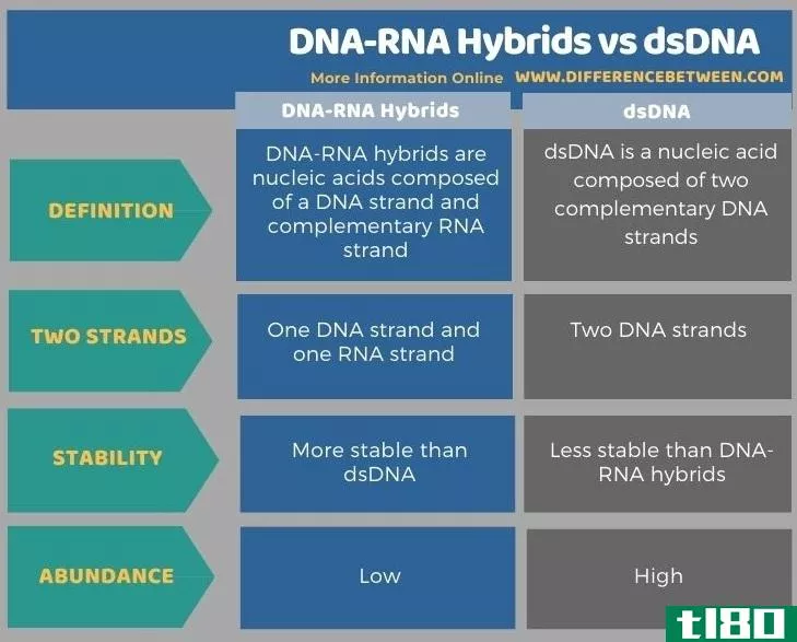 dna-rna杂交(dna-rna hybrids)和脱氧核糖核酸(dsdna)的区别