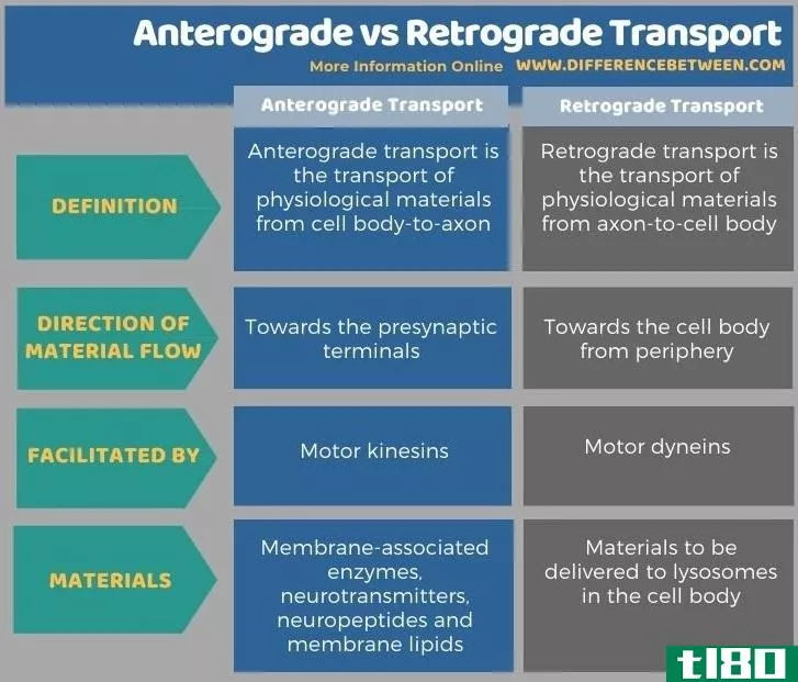 顺行(anterograde)和逆行运输(retrograde transport)的区别