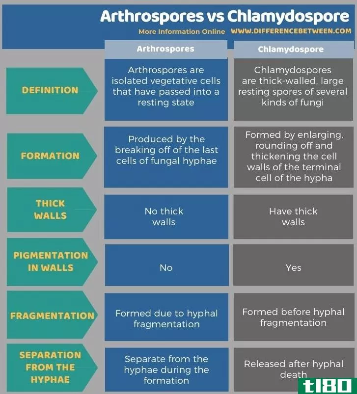 节孢子(arthrospores)和厚垣孢子(chlamydospore)的区别