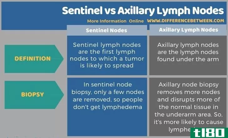 哨兵(sentinel)和腋窝淋巴结(axillary lymph nodes)的区别