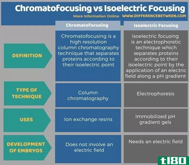 色差聚焦(chromatofocusing)和等电聚焦(isoelectric focusing)的区别