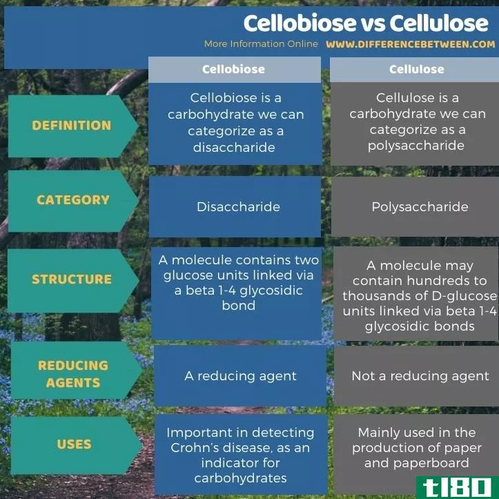 纤维二糖(cellobiose)和纤维素(cellulose)的区别