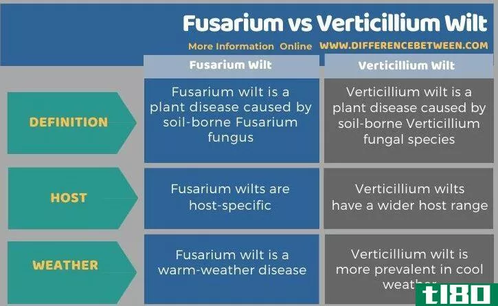 镰刀菌(fusarium)和黄萎病(verticillium wilt)的区别