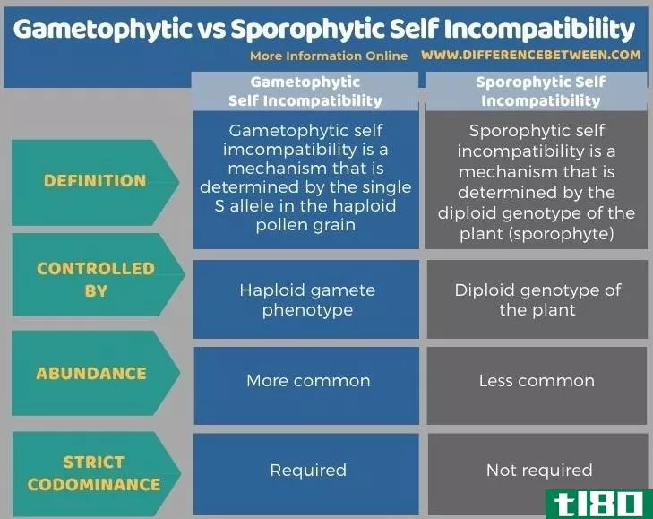 配子体(gametophytic)和孢子体自交不亲和性(sporophytic self incompatibility)的区别