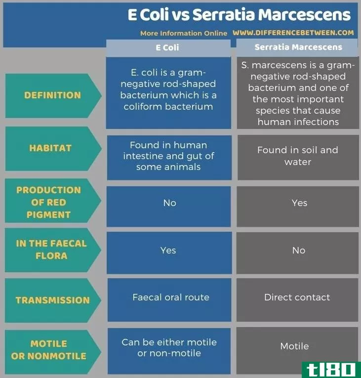 大肠杆菌(e coli)和粘质沙雷氏菌(serratia marcescens)的区别