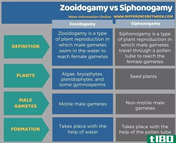 动物交配(zooidogamy)和虹吸(siphonogamy)的区别