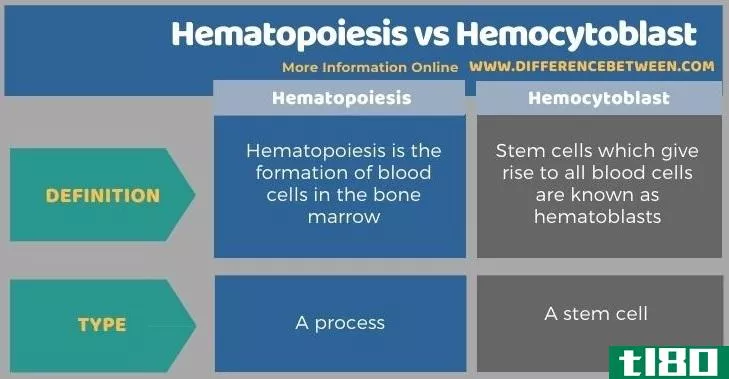 造血(hematopoiesis)和成血细胞(hemocytoblast)的区别