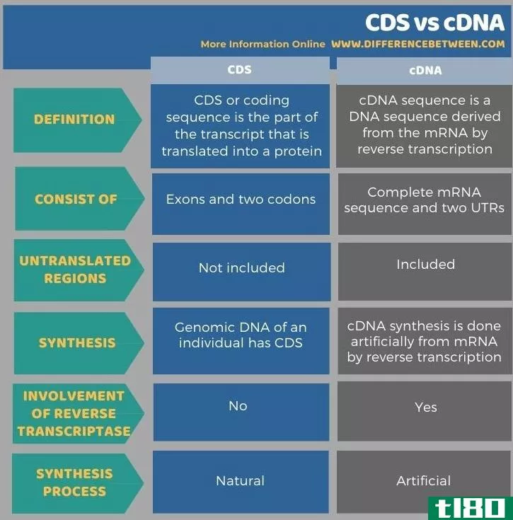 光盘(cds)和cdna(cdna)的区别