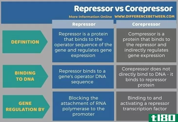 抑制因子(repressor)和加压器(corepressor)的区别