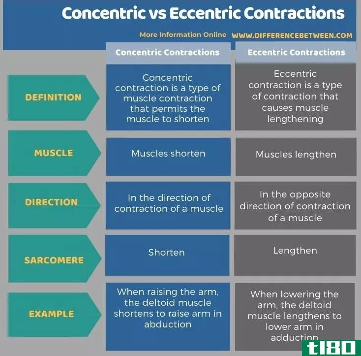 同心的(concentric)和偏心收缩(eccentric contracti***)的区别