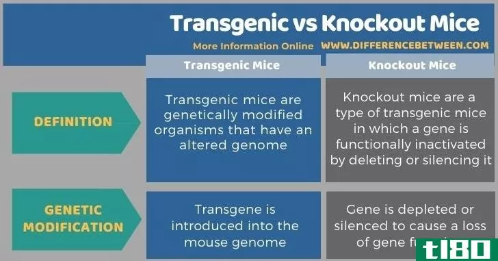 转基因(transgenic)和基因剔除小鼠(knockout mice)的区别