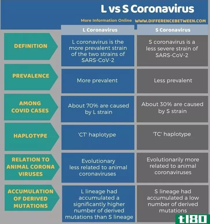 我(l)和s冠状病毒(s coronavirus)的区别