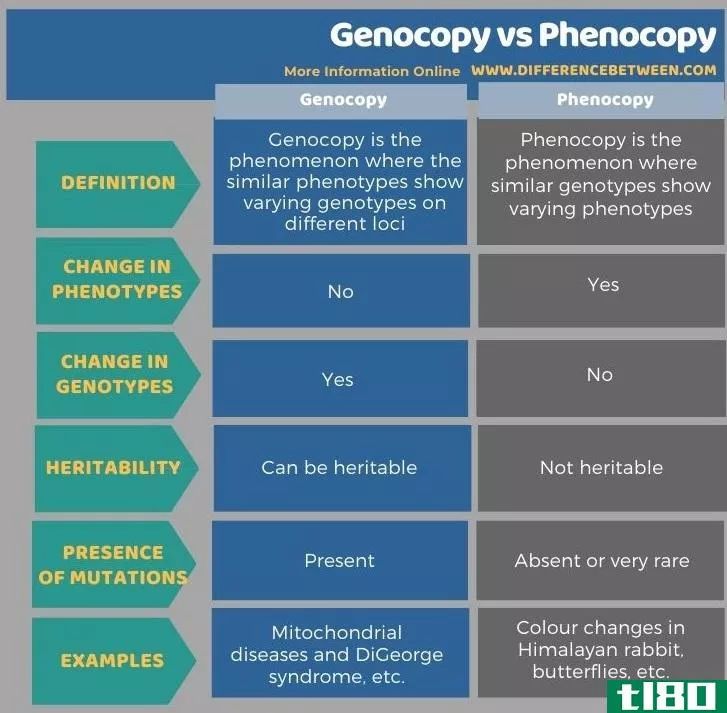 基因拷贝(genocopy)和物候学(phenocopy)的区别