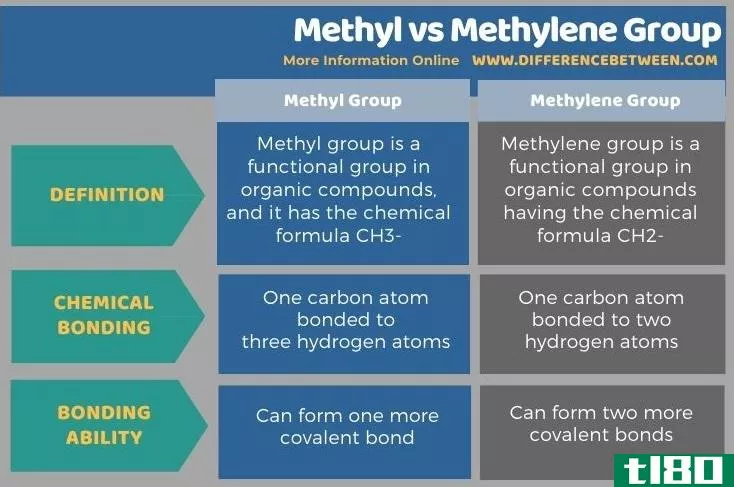 甲基(methyl)和亚甲基(methylene group)的区别