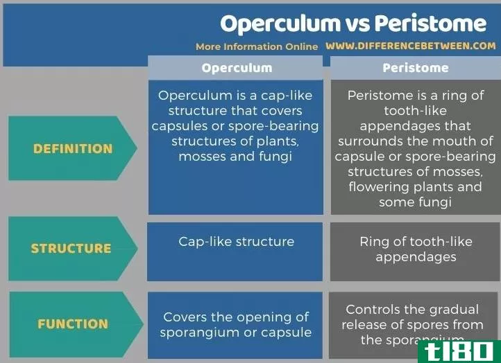 盖(operculum)和骨裂(peristome)的区别