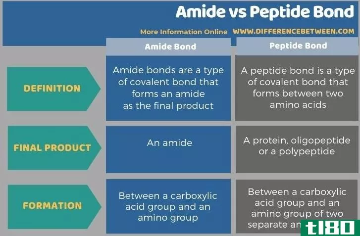酰胺(amide)和肽键(peptide bond)的区别