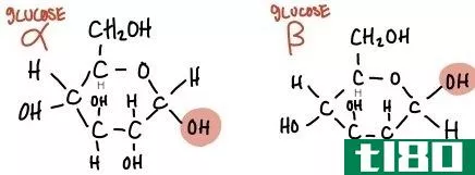 结构的(structural)和碳水化合物中的光学异构体(optical isomers in carbohydrates)的区别