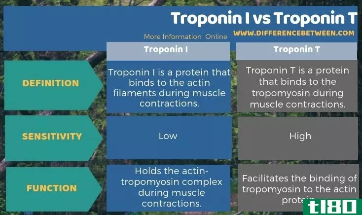 肌钙蛋白i(troponin i)和肌钙蛋白t(troponin t)的区别