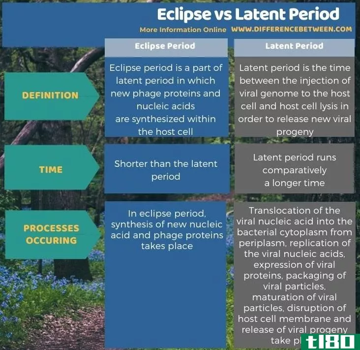 日食(eclipse)和潜伏期(latent period)的区别