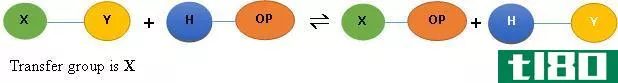 激酶(kinase)和磷酸化酶(phosphorylase)的区别