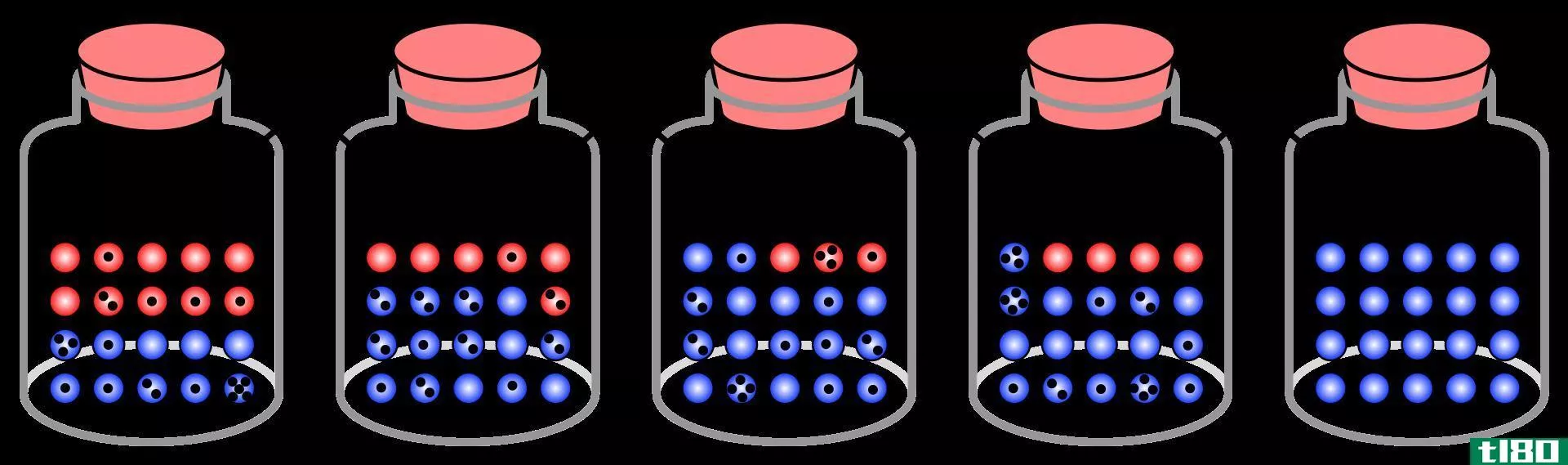 创始人效应(founder effect)和遗传漂变(genetic drift)的区别